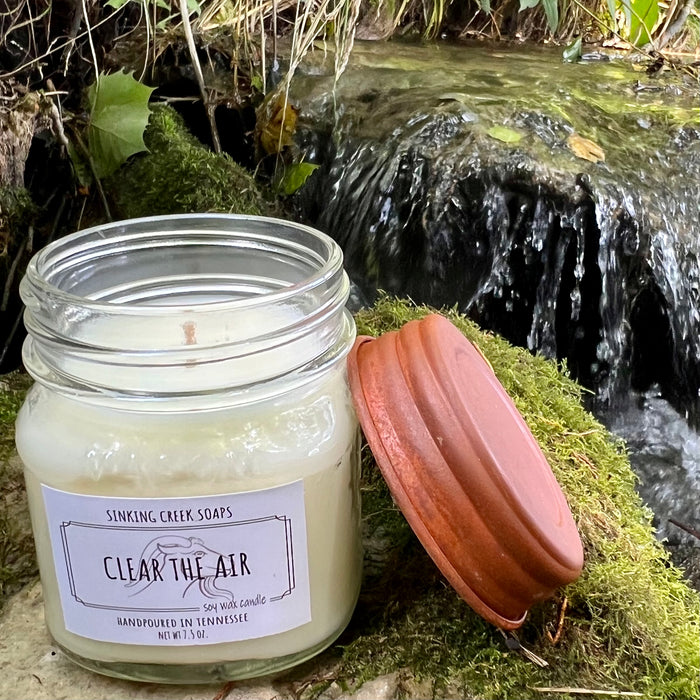 Let's Clear the Air Soy Candle